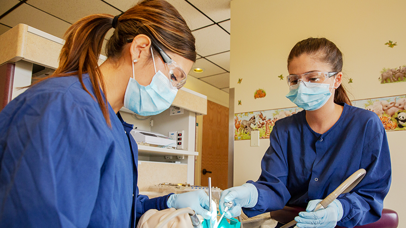 Dental Therapists doing oral health services